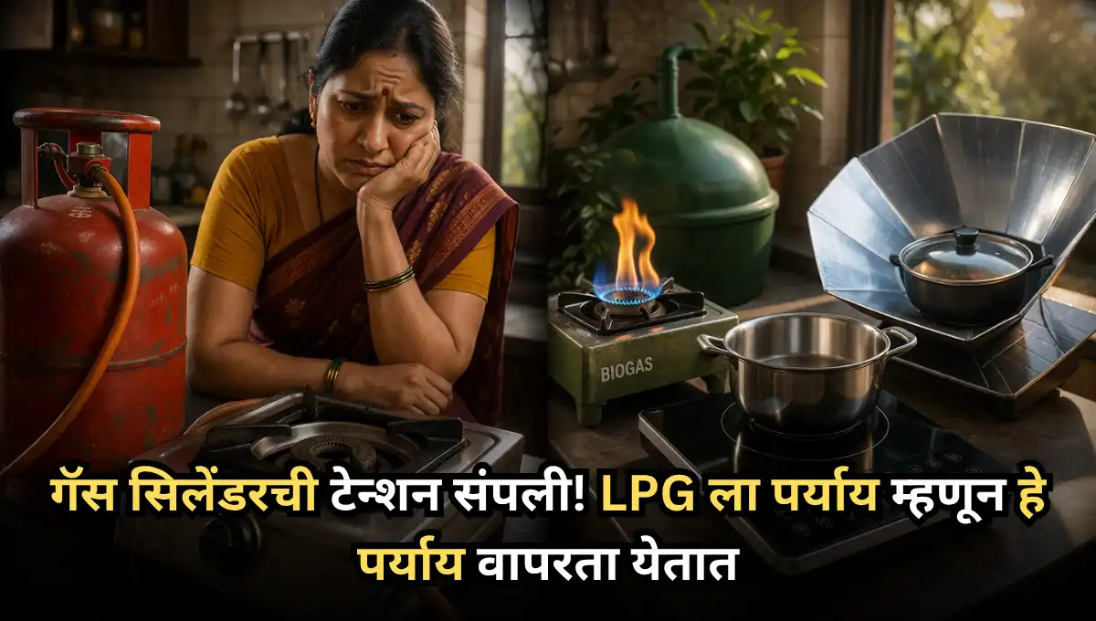 LPG alternatives in India